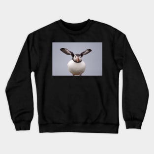 Little Brother of the North Crewneck Sweatshirt